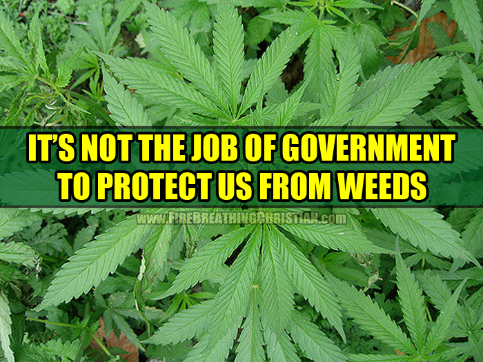 It’s Not The Job Of Government To Protect Us From Weeds