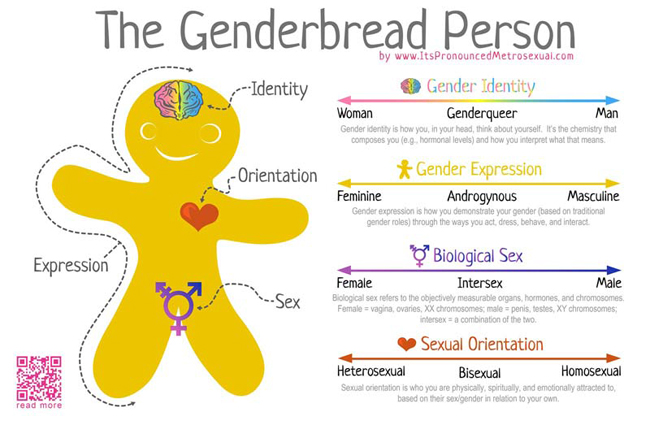 GenderbreadGayness