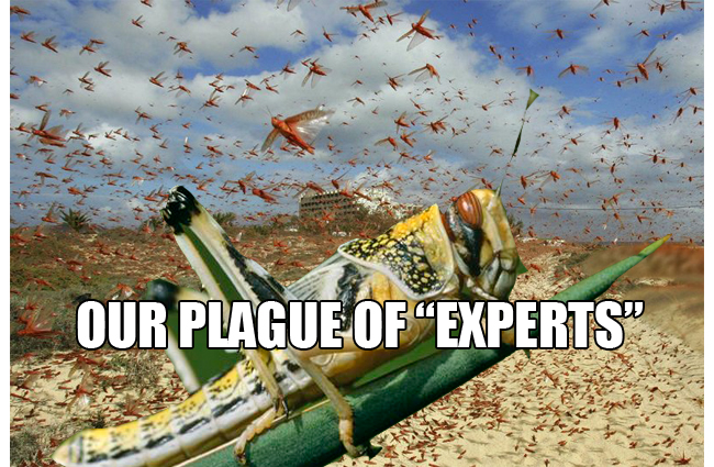 PlagueOfExperts650pw