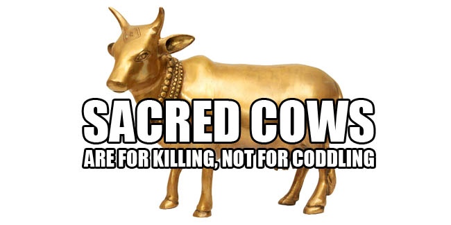 SacredCows650pw