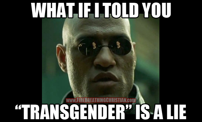 TransgenderIsLie650pw